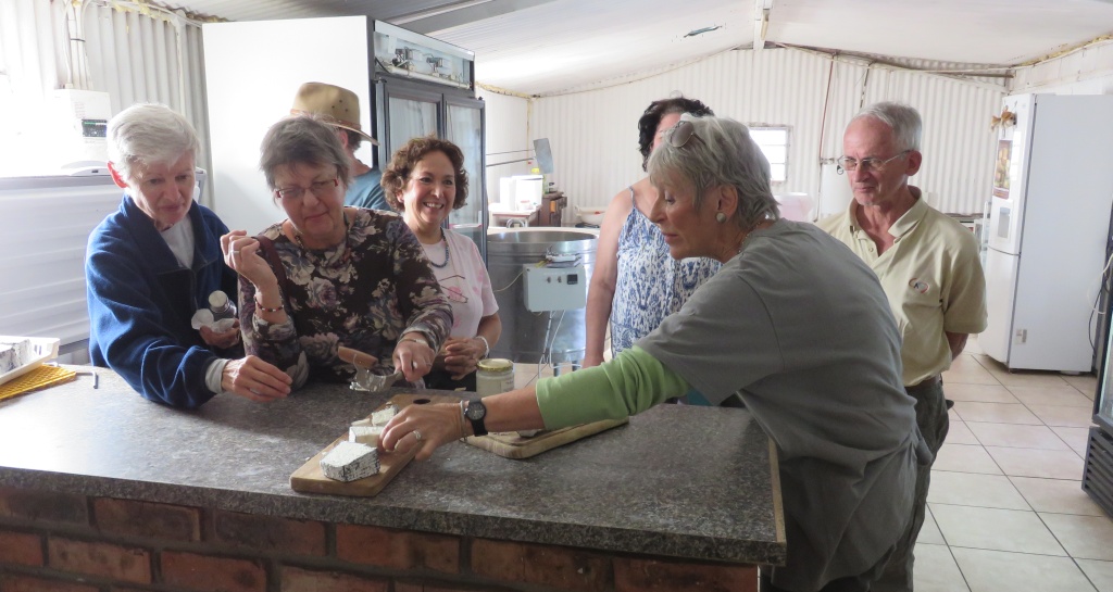 cheese sampling